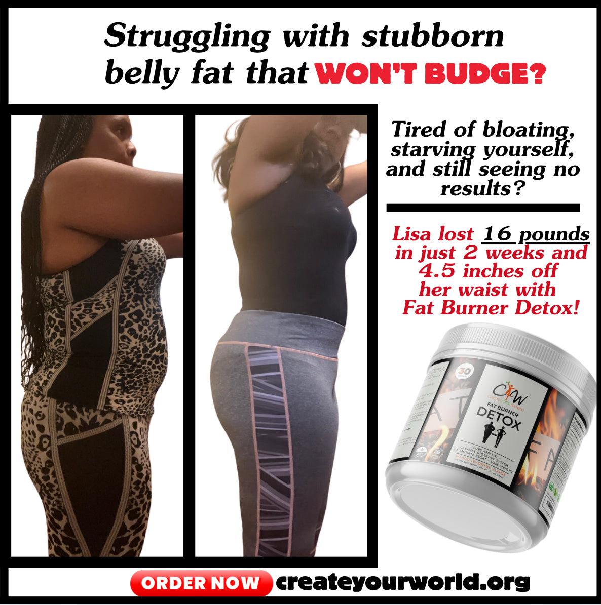 Fat Burner Detox Powder