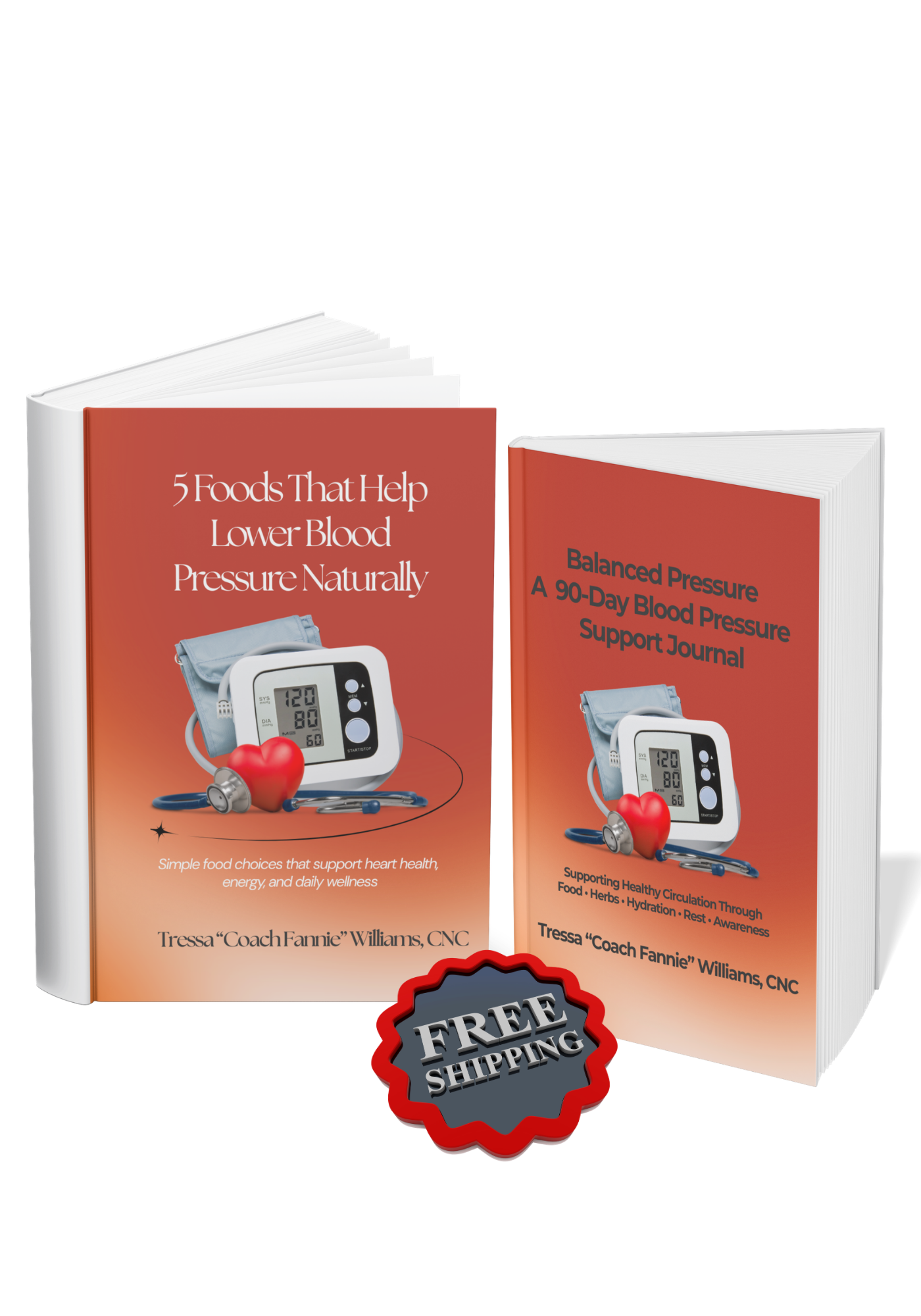 Balanced Pressure Book + Journal Bundle (Paperback, Free U.S. Shipping)